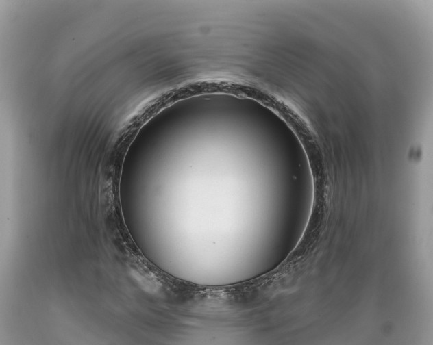 X0000089340968200706221114