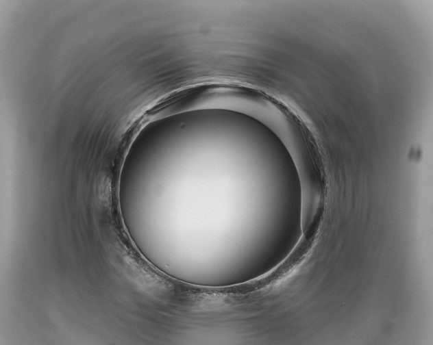 X0000089340969200706221114