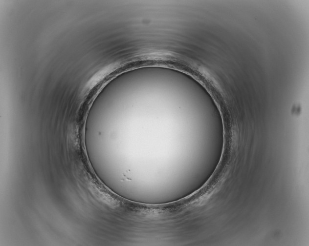 X0000089340970200706221114