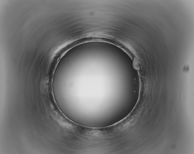 X0000089340971200706221114