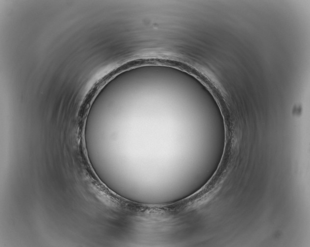 X0000089340974200706221114