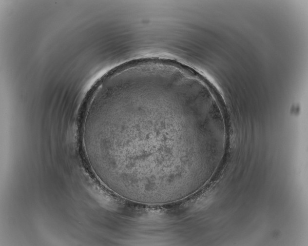 X0000089340975200706221114