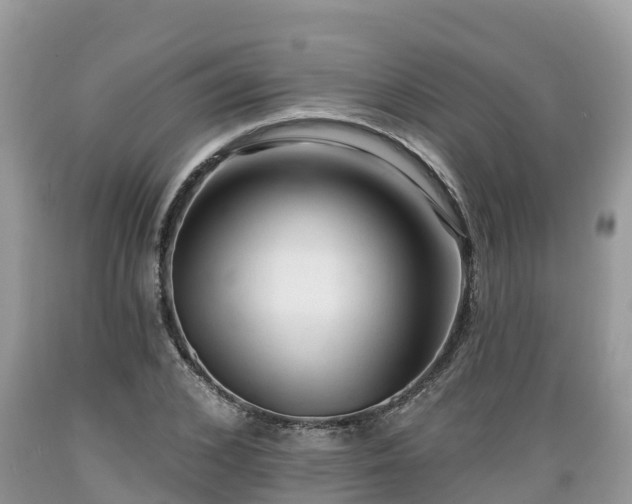 X0000089340976200706221114