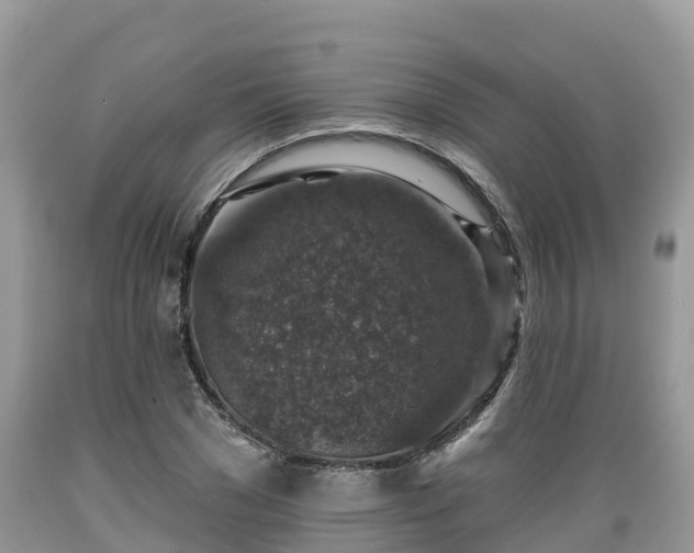 X0000089340977200706221114