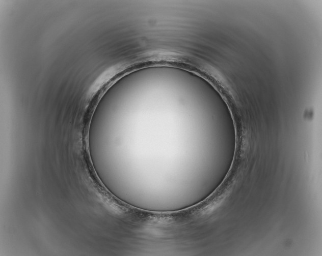 X0000089340978200706221114