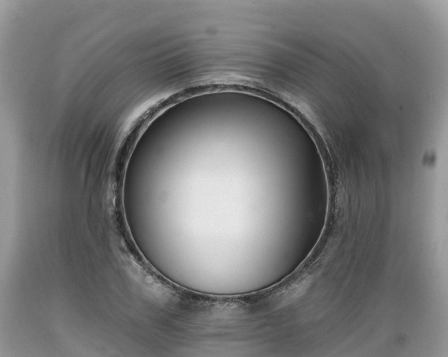 X0000089340979200706221114