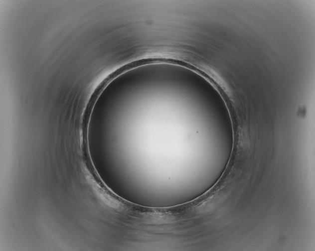 X0000089340980200706221114