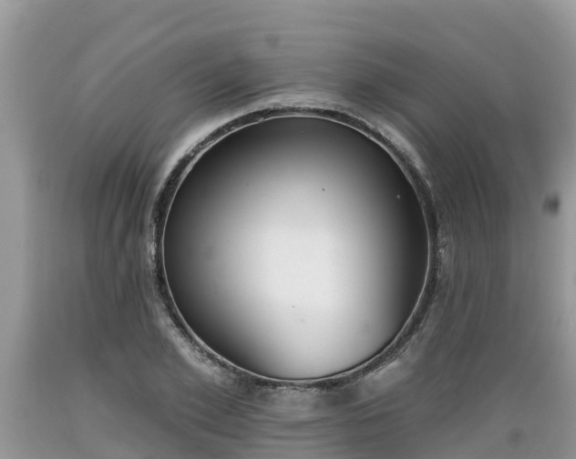 X0000089340981200706221114