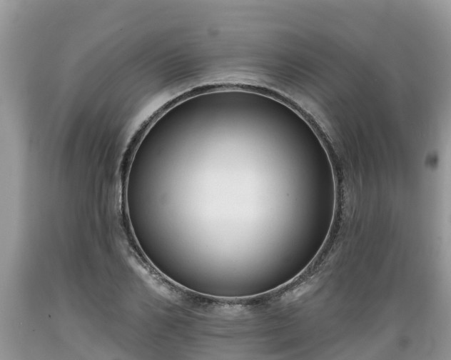 X0000089340982200706221114