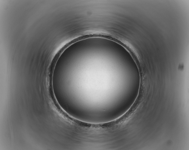 X0000089340983200706221114