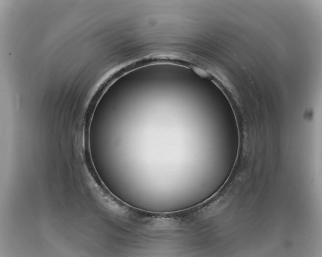 X0000089340984200706221114