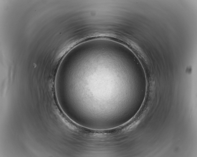 X0000089340985200706221114