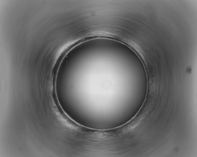 X0000089340987200706221114