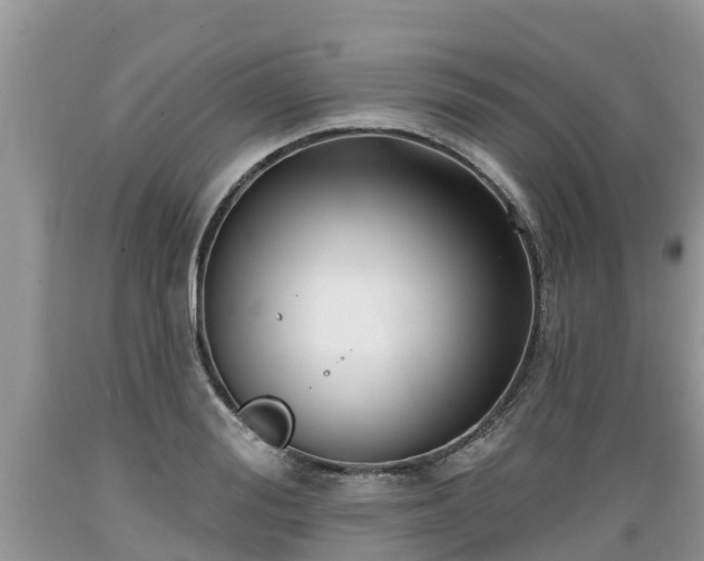 X0000089340988200706221114