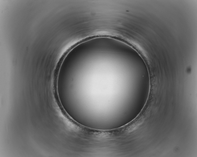 X0000089340991200706221114