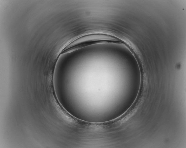 X0000089340993200706221114