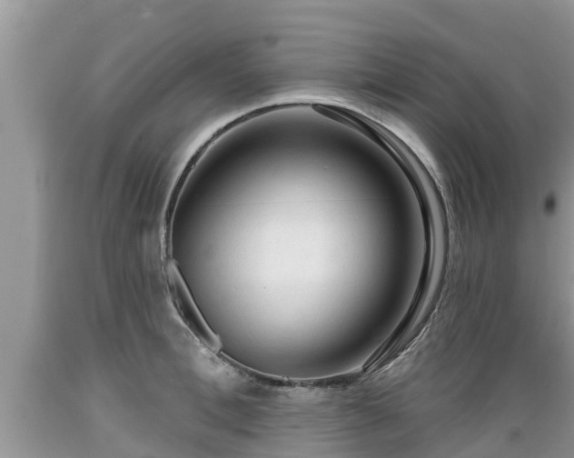 X0000089340996200706221114