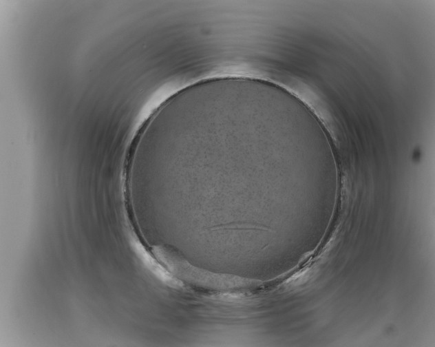X0000089340998200706221114