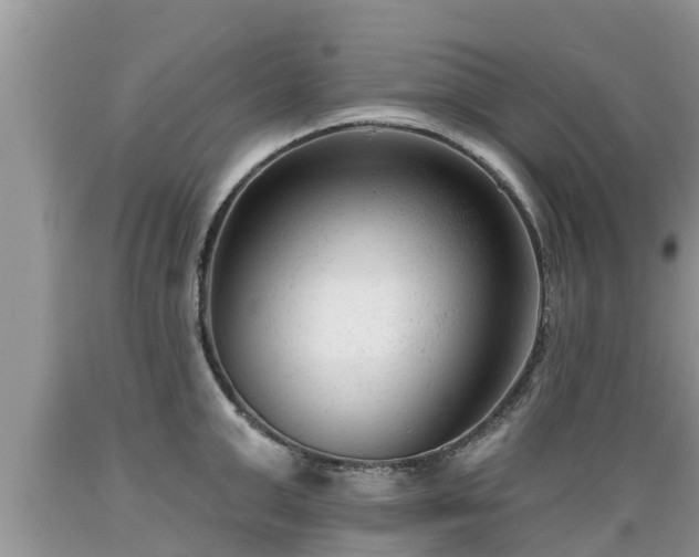 X0000089340999200706221113