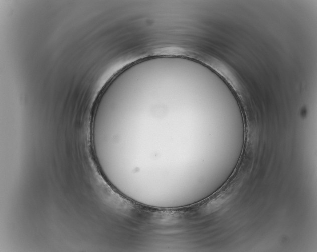 X0000089341000200706221113