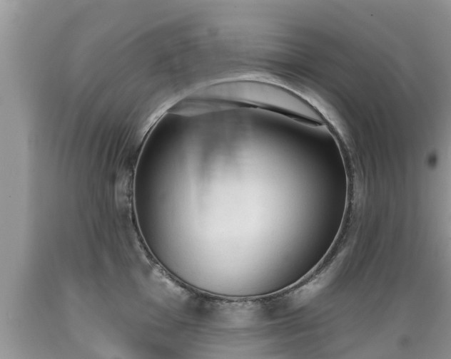 X0000089341001200706221113