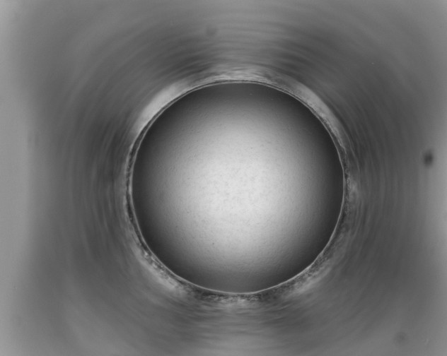 X0000089341002200706221113