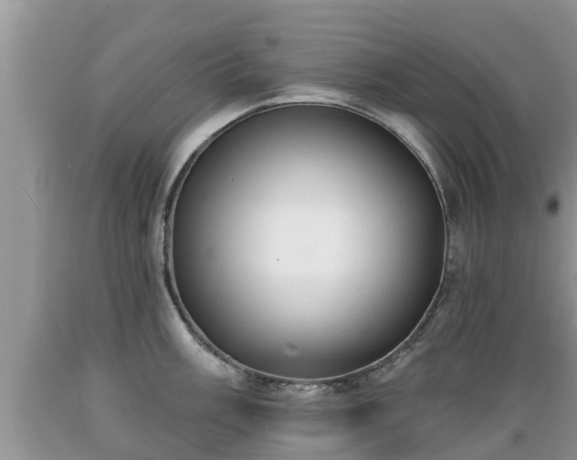 X0000089341003200706221113
