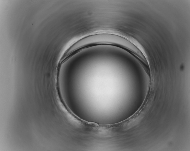 X0000089341005200706221113