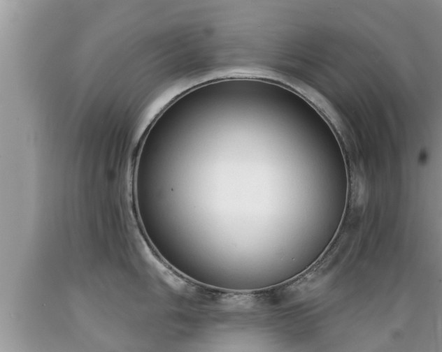 X0000089341006200706221113