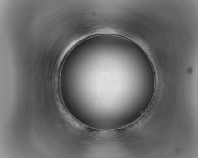 X0000089341008200706221113