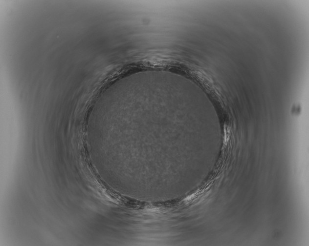 X0000089341009200706221113