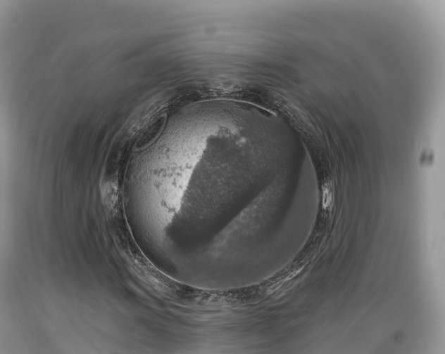 X0000089341011200706221113