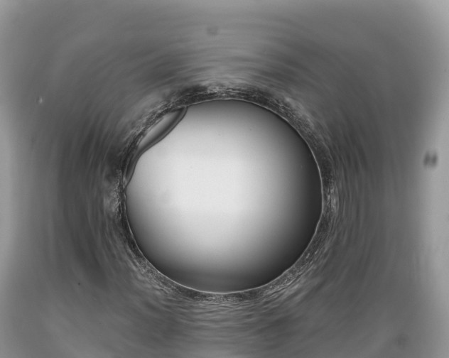X0000089341012200706221113