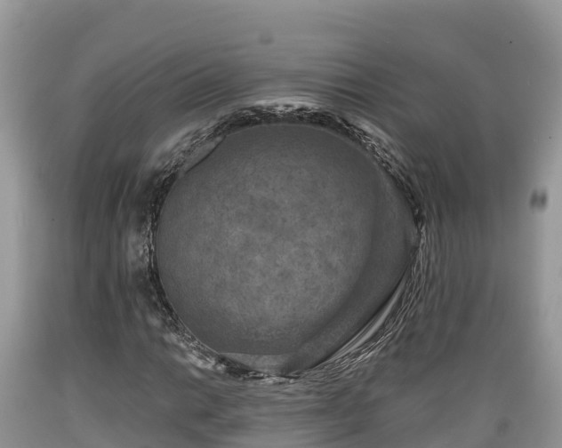 X0000089341014200706221113