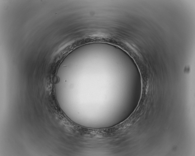 X0000089341015200706221113