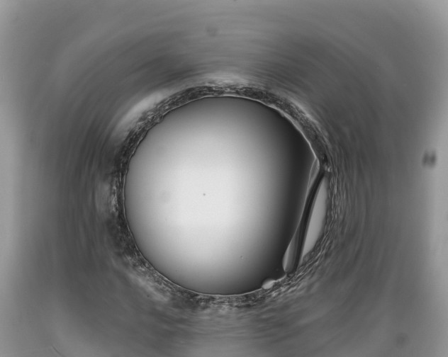 X0000089341016200706221113