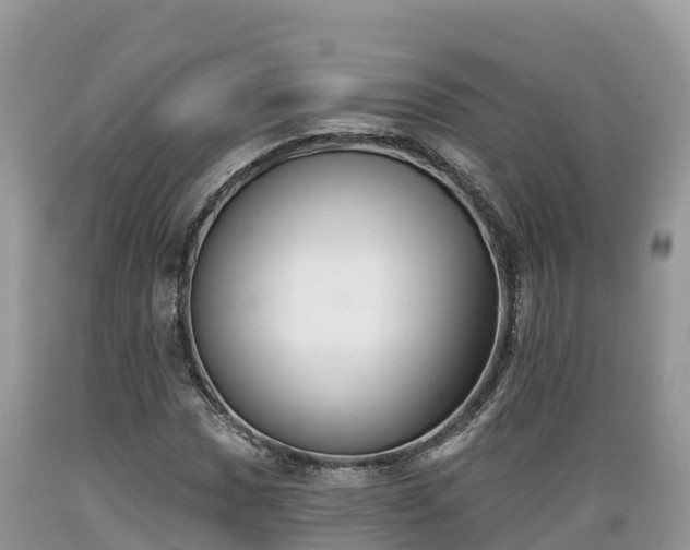 X0000089341017200706221113