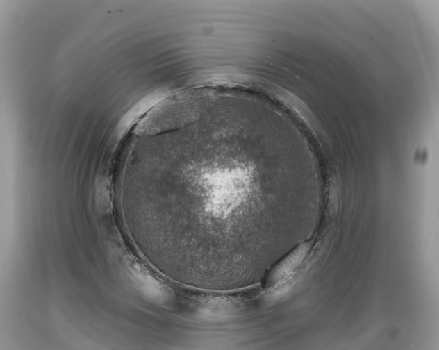 X0000089341018200706221113