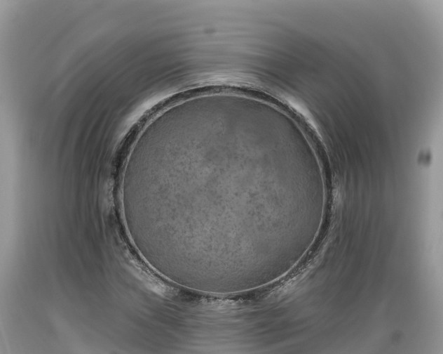 X0000089341019200706221113