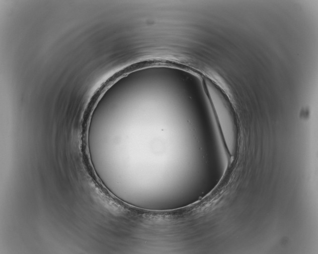 X0000089341020200706221113