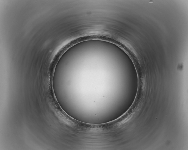 X0000089341021200706221113
