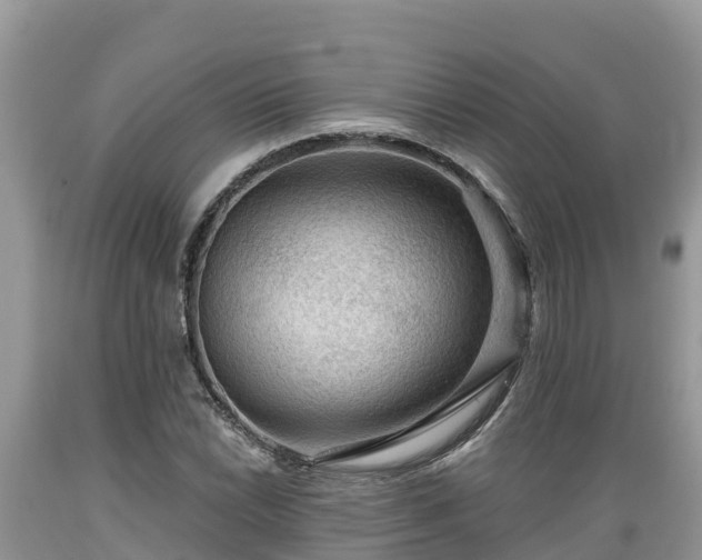 X0000089341022200706221113