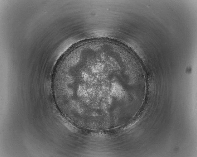 X0000089341023200706221113