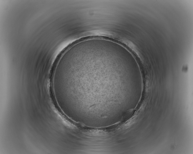 X0000089341024200706221113