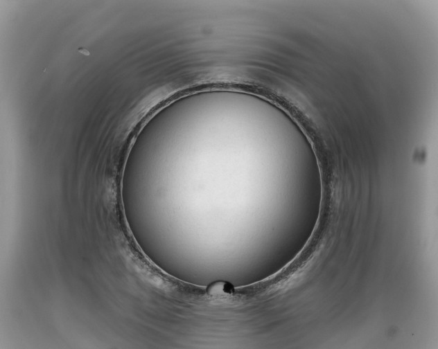 X0000089341025200706221113