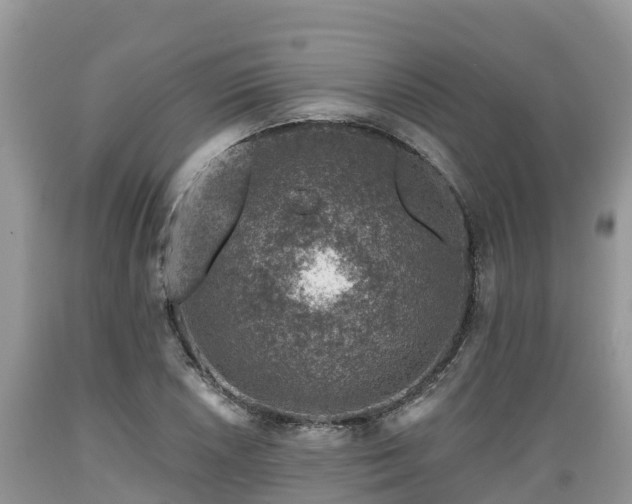 X0000089341026200706221113