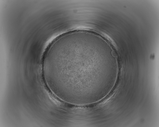 X0000089341027200706221113
