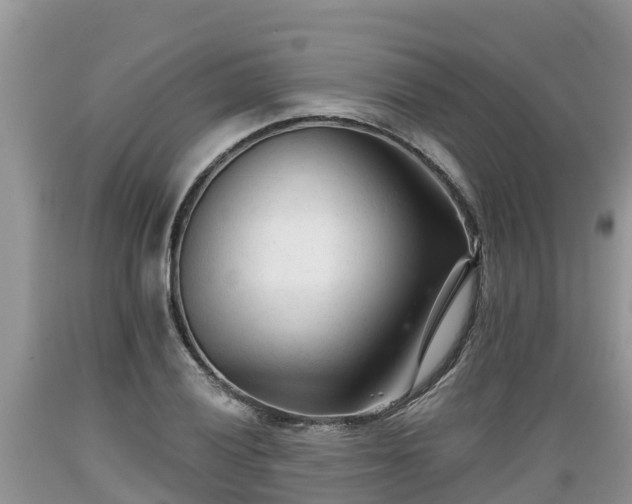 X0000089341028200706221113