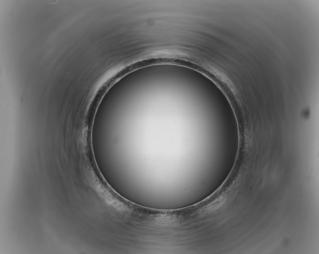 X0000089341029200706221113