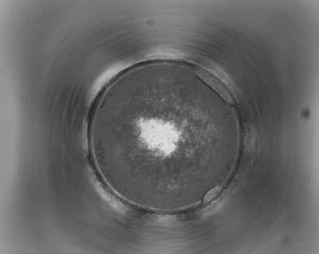 X0000089341030200706221113